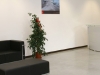 7-reception